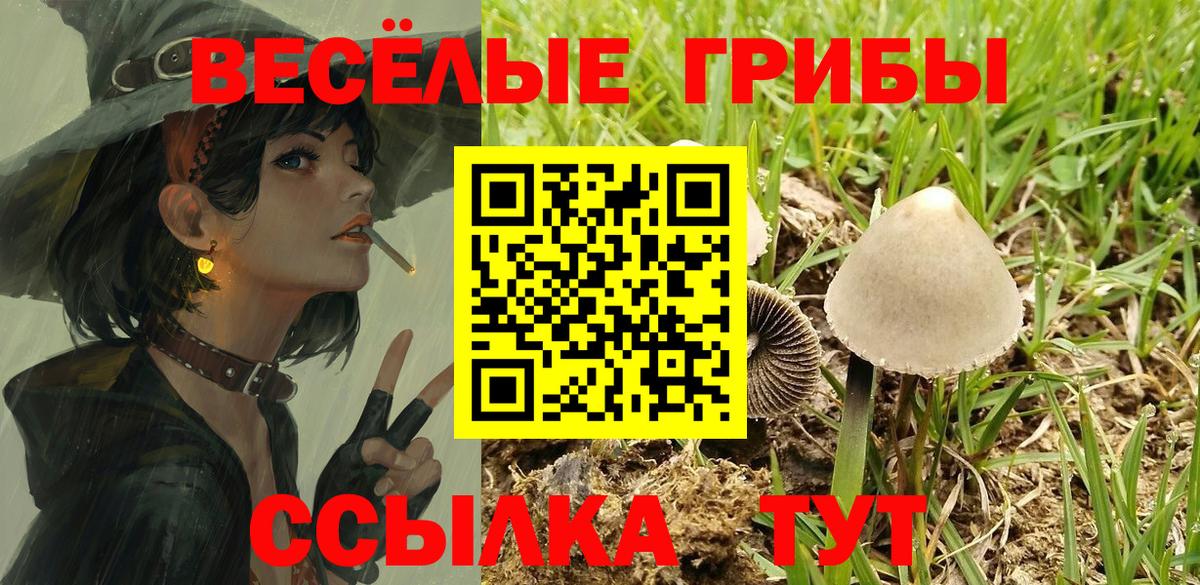 Чапаевск  Псилоцибиновые грибы Cubensis  Галлюциногенные грибы мухоморы  Вход с VPN 