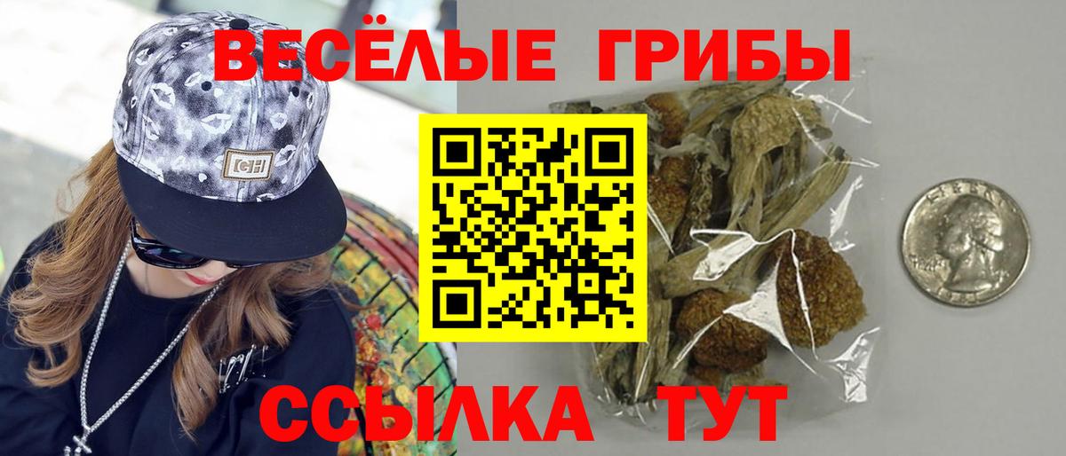 Псилоцибиновые грибы ЛСД Чапаевск